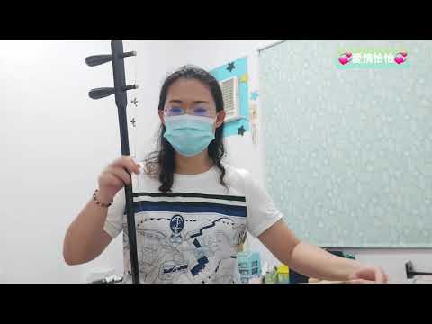 #愛情恰恰（二胡D調）