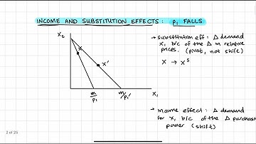 Understanding Income and Substitution Effects