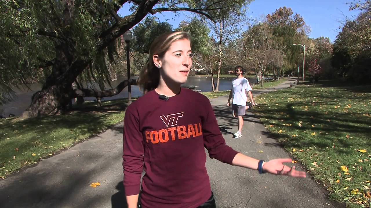 polytechnic institute of new york My Virginia Tech: Liz