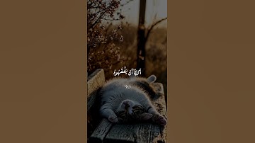قرآن كريم راحة نفسية 🤍🥰 متابعة للصفحة فضلاً #قرآن #قران_كريم