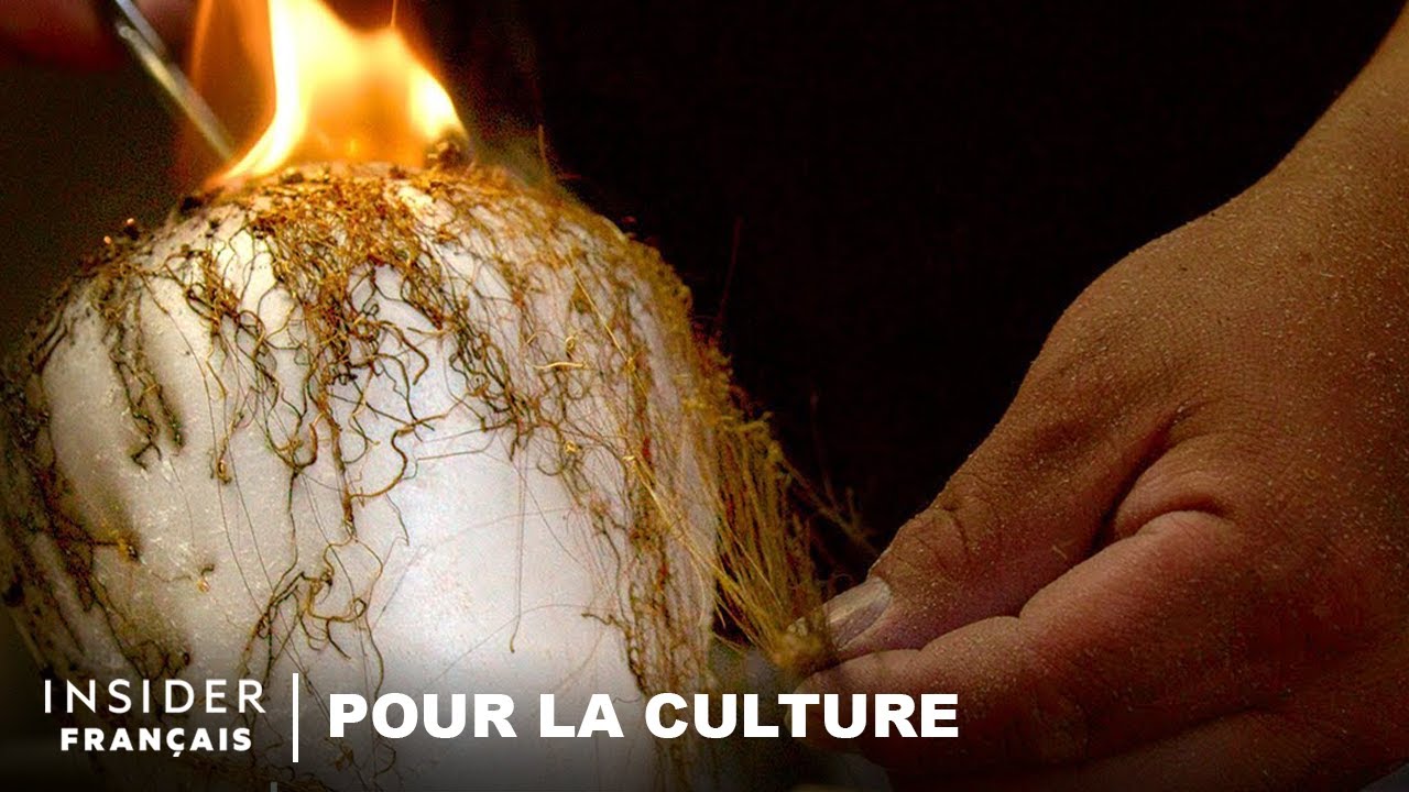 Comment un potier amérindien utilise la vieille tradition de la poterie horsehair | Pour la culture