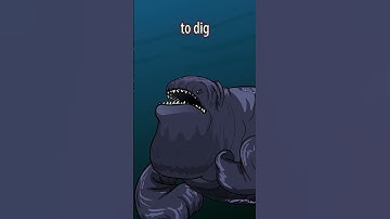 The Bloop Diet #shorts