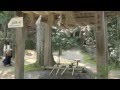 玉作湯神社　パワースポット　玉造温泉 の動画、YouTube動画。