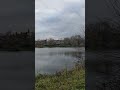 погода в Москве пруд былово 26-10-25 октябрь.