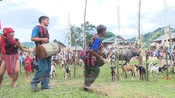 Tin Tức 24h Mới Nhất Hôm Nay : Độc đáo lễ hội Ariêu Ping của đồng bào Pa Cô, tỉnh Quảng Trị