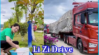 Beautiful Female Tractor Driver Li Zi Takes Orders To Hainan