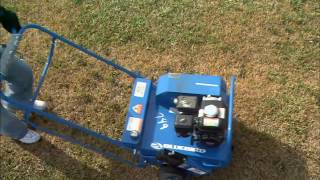 How to Promote Lawn Growth - Ace Hardware