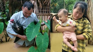 18yearold single mother panicked when heavy rain flooded the entire farm | Ly Tieu An