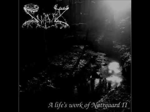 Zwenz — Zwenz - A Life's Work of Natrgaard II (Full Album)