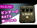エフェクター紹介】ビンテージRATを弾いてみた！【Pro Co RAT】 - YouTube