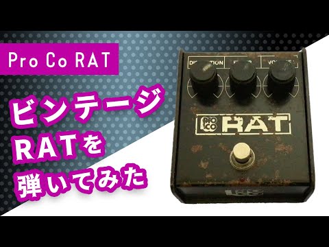 エフェクター紹介】ビンテージRATを弾いてみた！【Pro Co RAT