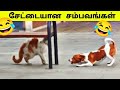 கேமராவில் பதிவான நிகழ்வுகள் / Animals funny video / Tamil Display