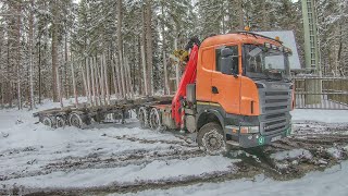 Scania R480 6x6 Timber Truck | Dangerous Icy Downhill In Forest