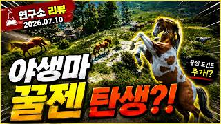 Wild Horse Hotspot Discovered!! [07/10/2026 Black Desert Global Lab Review] screenshot 3