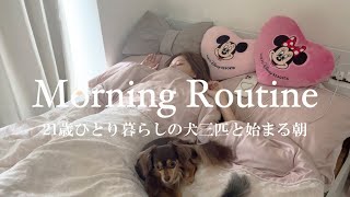 【モーニングルーティン】愛犬と目覚めるぴょなの朝。