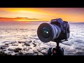 Canon 90D Real World Review | Nature Photography Edition