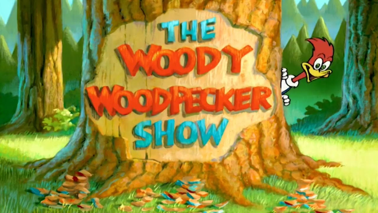 The New Woody Woodpecker Show (1999-2002) (All Intro Gags) - YouTube