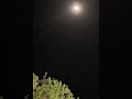 رابح صقر - أجر وعافيه لشمه حمدان  ( ذكاء اصطناعي)🎧