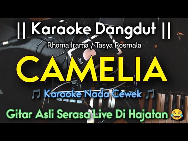 CAMELIA Karaoke Nada Cewek , Versi Tasya Rosmala OM. ADELLA class=