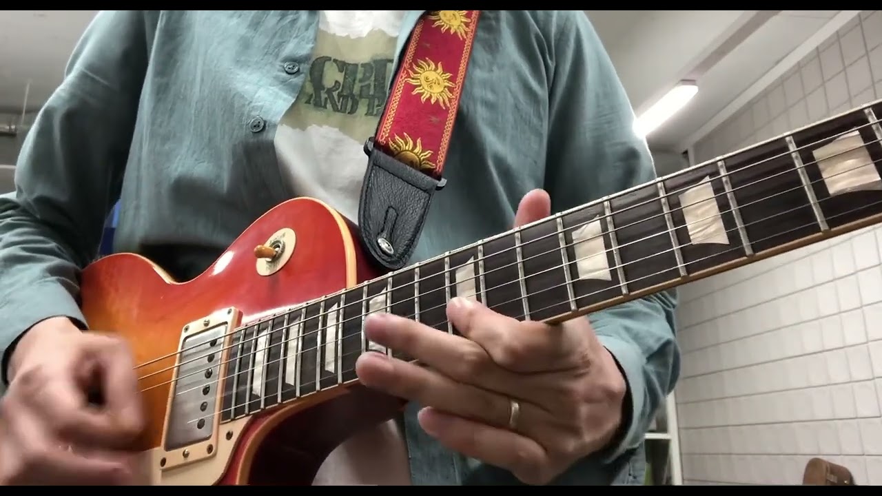 Seymour Duncan - Joe Bonamassa Skinner Burst Pickups(Octaver)