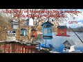 112725AM  BIRDS, LAKE VIEW, ASMR WATER SOUNDS &amp; WINDCHIMES #RELAXING  #CALM #PEACEFUL #CATTV #ASMR
