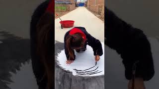 Esta niña hizo algo legendario. #bermudas