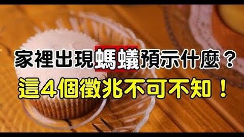 家裡突然出現很多螞蟻預示什麼？4個徵兆不可不知！切莫大意了