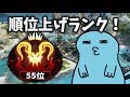 【APEX】デュオでプレデター帯にいく! うるかさん ゆふなさんzzZ