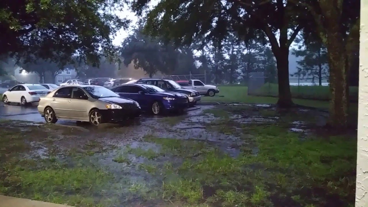 nature magazine HURRICANE IRMA UPDATE FLOODING!!