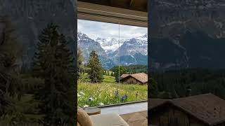 Alpine Meadow Sanctuary Lofi 🌼 Deep Work &amp; Focus | 30 Min #shorts #deepwork #focusmusic