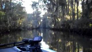 Government Ditch - Caddo Lake