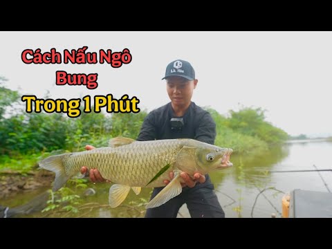 Cách Nấu Ngô Bung Trong 1 Phút - Mukbang Trắm Cỏ Super Cay