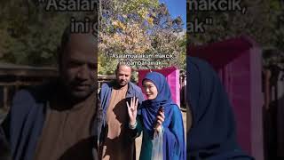 Hi Sumua Bella Dekat Stan Jln2