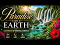 Paradise on Earth 🌴 Tropical Waterfall Ambience | 30 Minutes Relaxation, Sleep & Nature Sounds