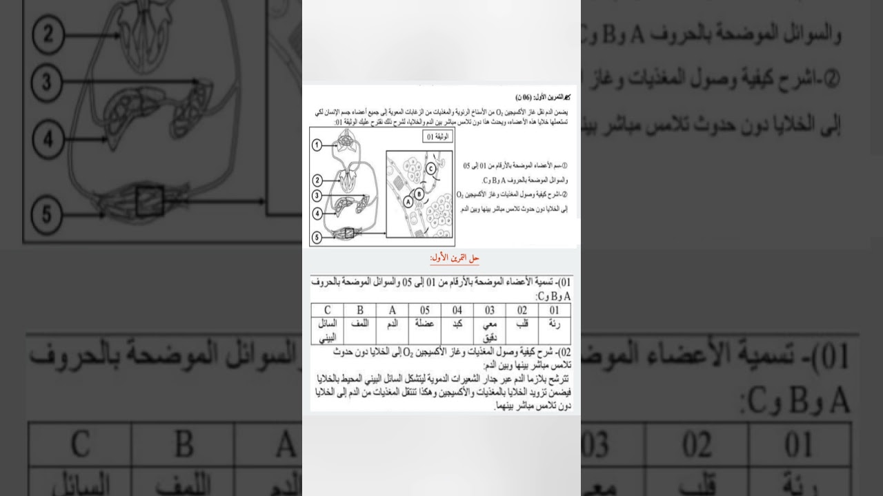تمرين مقترح في اختبار الفصل الأول علوم طبيعية رابعة متوسط