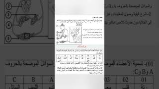 تمرين مقترح في اختبار الفصل الأول علوم طبيعية رابعة متوسط