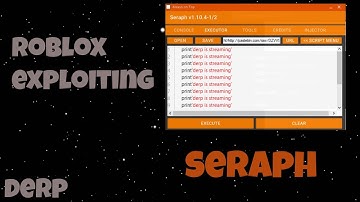 Roblox Exploiting: Seraph.