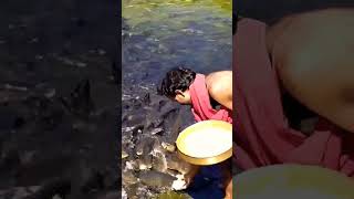 Shringeri Sharadha Devi Temple Fish fishlover pets temple chikmagalur karnataka freedom