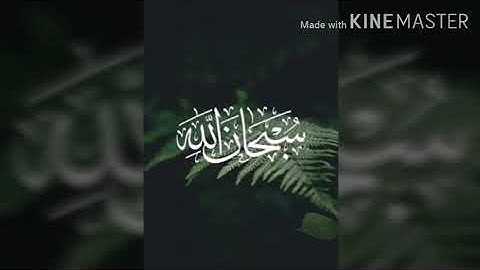 تلاوه ستأخذك إلى عالم آخر 480p