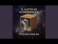 Il gatto di Schródinger