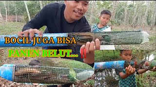 BOCIL PANEN BUBU BELUT DI SPOT SUNGAI KECIL || PENERUS ANGLER