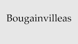 How to Pronounce Bougainvilleas