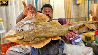 KASIMEDU 🔥 SPEED SELVAM | VERY RARE RAY FISH CUTTING VIDEO | 4K VIDEO | KM FISH CUTTING