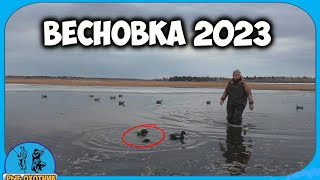 Открытие сезона на утку. Весна 2023.