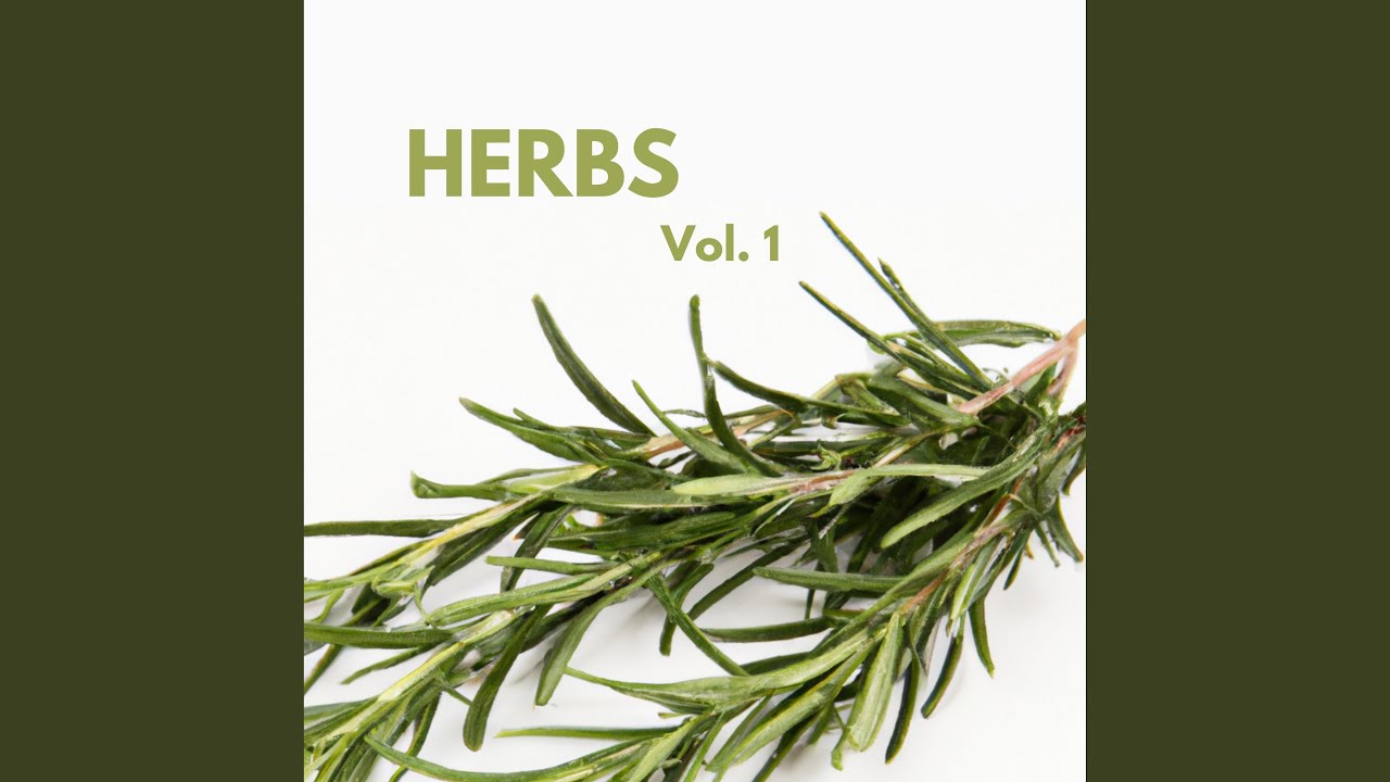 Watch Rosemary on YouTube Watch Rosemary on YouTube