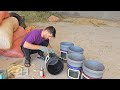From Building a Chicken Coop to Cooking the Best Meat Mushroom Dish mp3