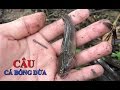 CÂU CÁ BÓNG DỪA MỒI TRÙNG TRÚNG NGAY Ổ GIẬT KHÔNG NGỚT TAY | MIEN TAY Food & Lifestyle