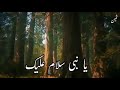 یا نبی سلام علیک یا رسول سلام علیک