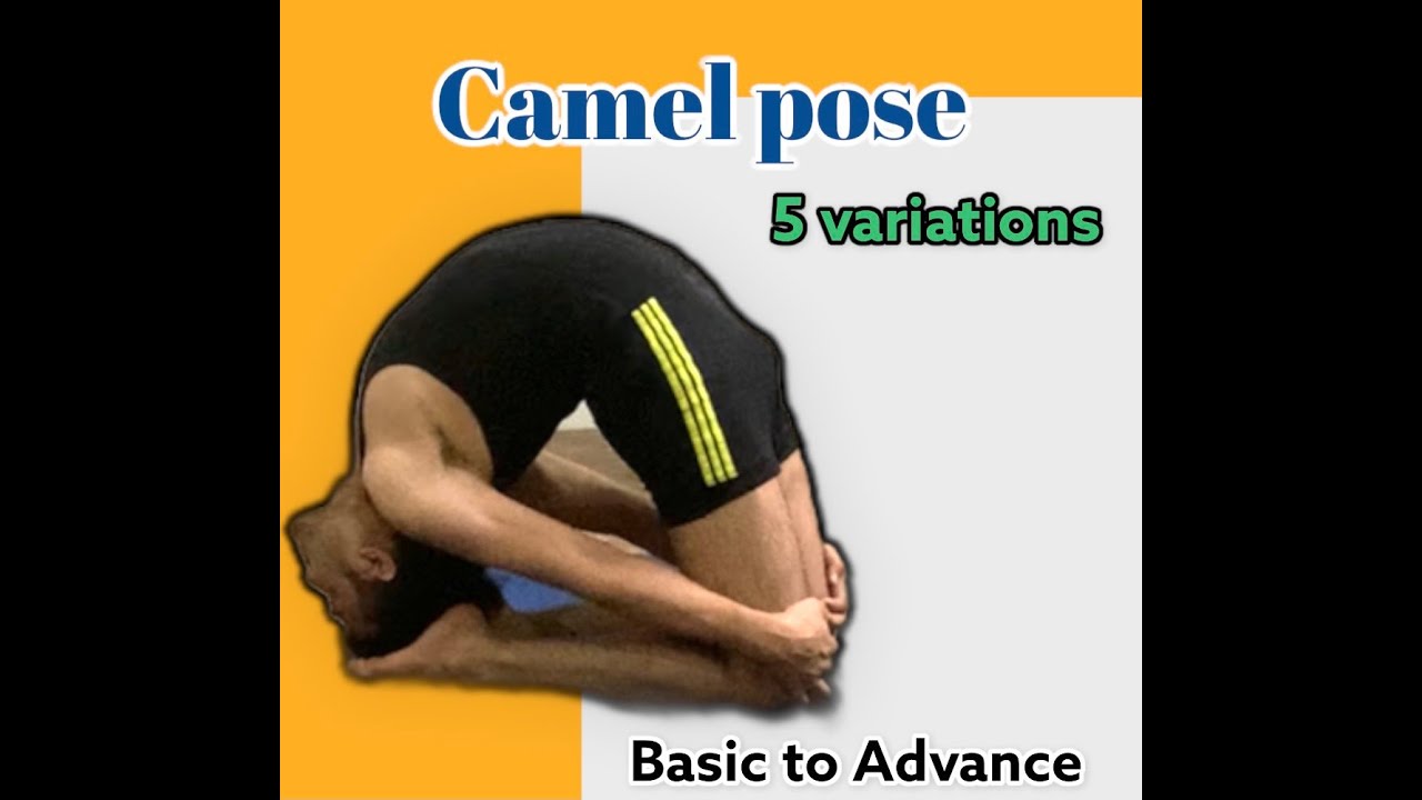 camel pose, Ustrasana Variation, 5 variation, Basic To Advance