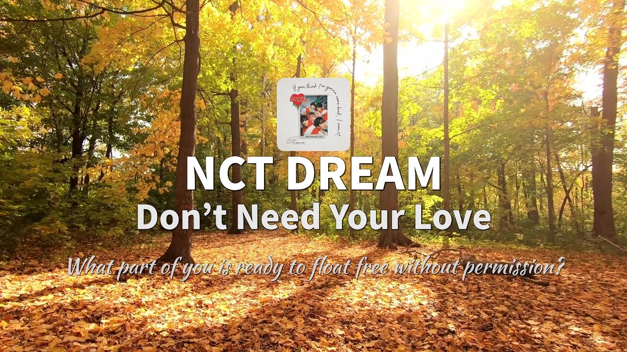 Lyrication — NCT DREAM: Don’t Need Your Love
